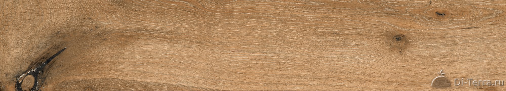 Ab 1163W Wildwood Ocher 1200×200